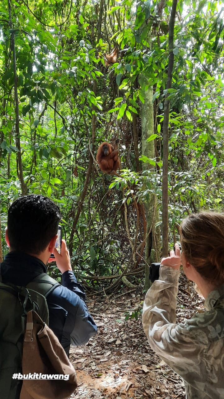 1 day trek + raffting from Bukit Lawang