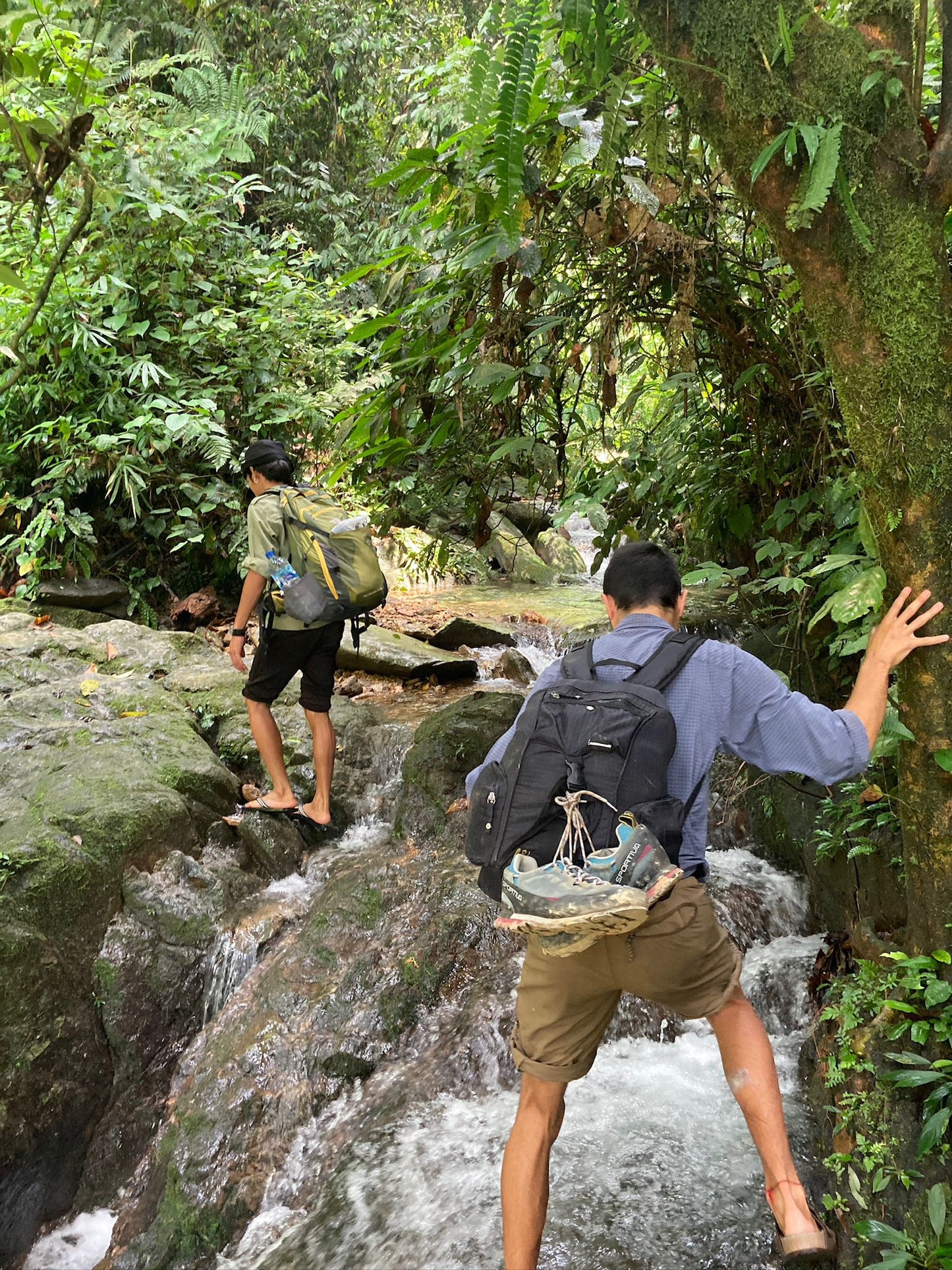 5 Day Jungle Trek