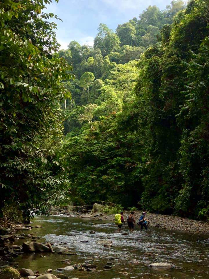 5 Day Jungle Trek