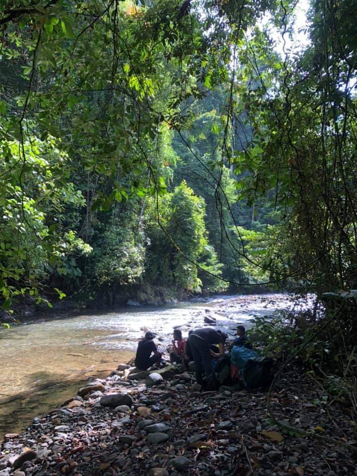 5 Day Jungle Trek