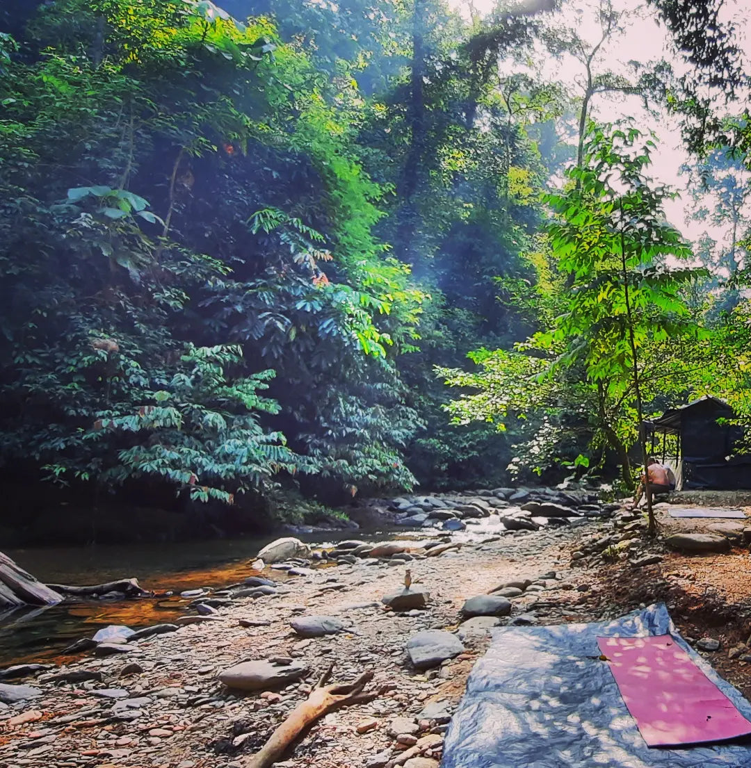 2 day jungle trek + raffting from Bukit Lawang