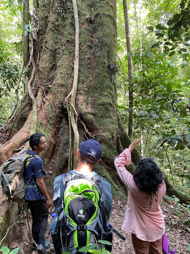 1 day trek + raffting from Bukit Lawang