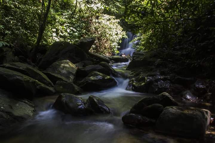 5 Day Jungle Trek