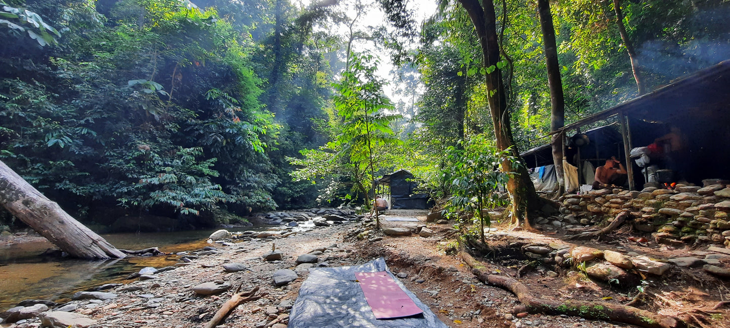 2 day jungle trek + raffting from Bukit Lawang