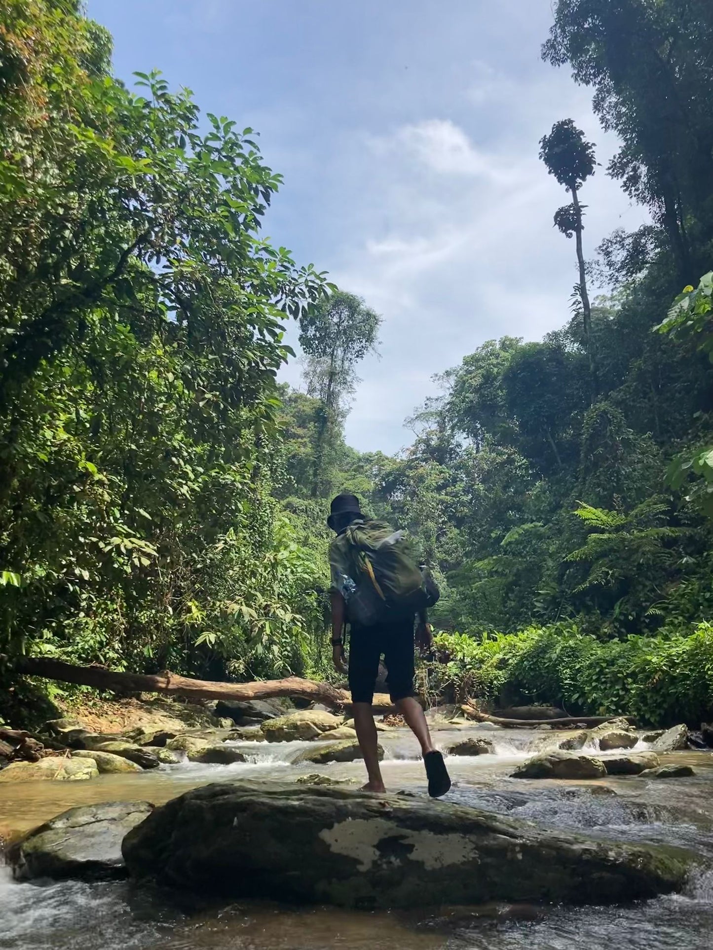 5 Day Jungle Trek