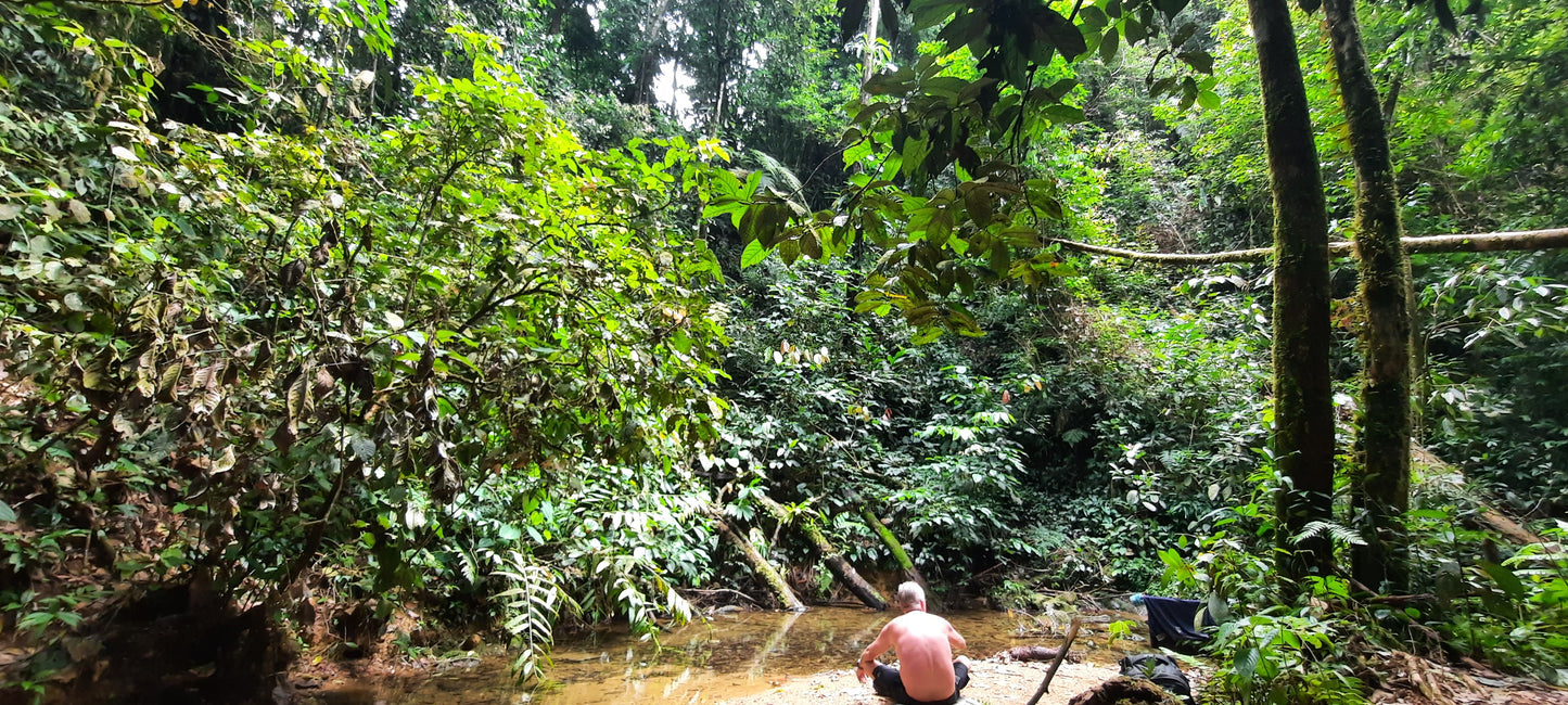 4 Day Jungle Trek